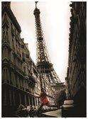PARIS EIFFEL TOWER CANVAS PRINT (50cmx70cm)
